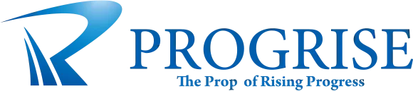 ロゴ プログライズ総合会計事務所